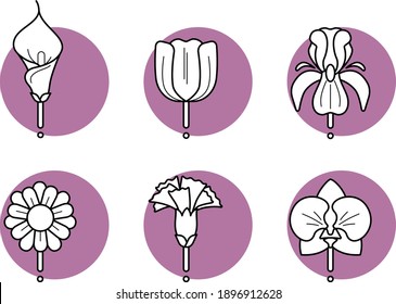 icons of different garden and wild flowers on a purple background