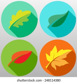 icons of different leaves. flat colored style