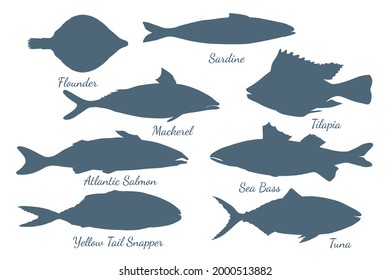Icons with different sea fishes made in flat style
