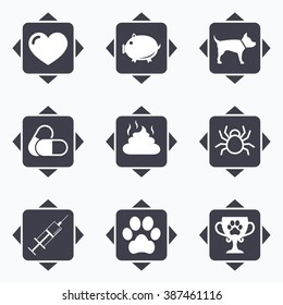 Icons with direction arrows. Veterinary, pets icons. Dog paw, syringe and winner cup signs. Pills, heart and feces symbols. Square buttons.