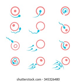 iconos fertilización, un conjunto de imágenes huevo y esperma