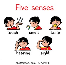 Free five senses - Vector Art