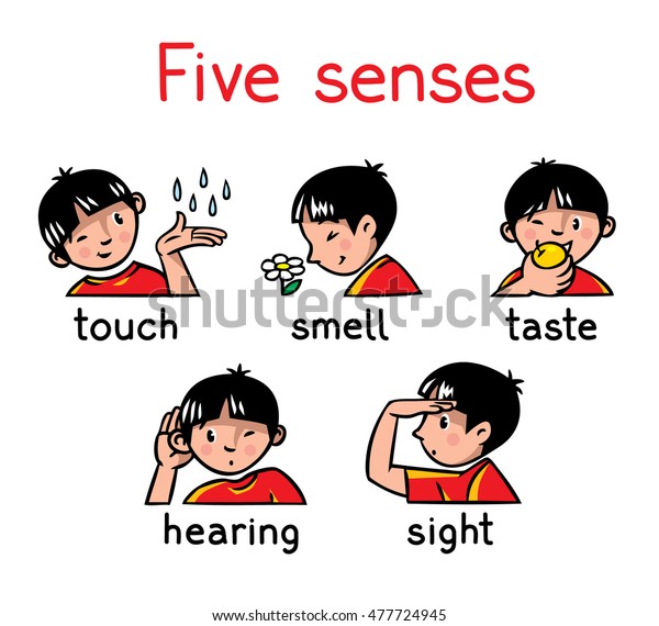 タッチ 味覚 聴覚 視覚 匂いの5つの感覚のアイコン 赤いtシャツを着た少年の子どものベクターイラスト のベクター画像素材 ロイヤリティフリー
