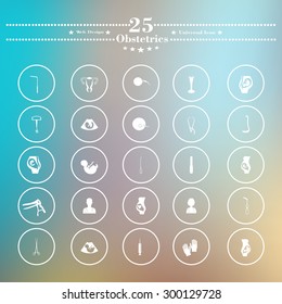 Icons flat is pregnant white soft background