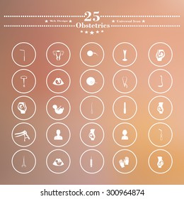 Icons flat. pregnant. white soft background