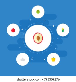 Icons flat style pomegranate, corn, lychee and other vector elements. Set of berry icons flat style symbols also includes fruit, cereal, artichoke objects.