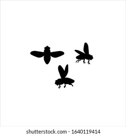 Icons flies. Silhouette. Flies in flight.