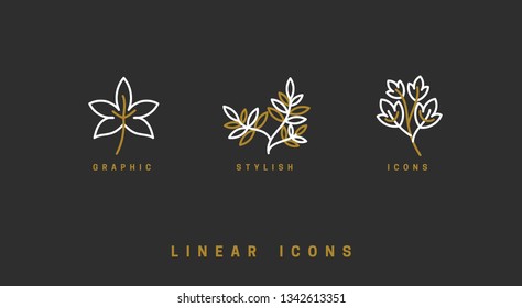 Icons flowers, wildflowers, herbs, leaf, in linear style. Floral branches icon vector graphic