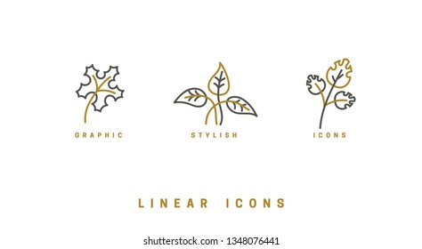 Icons flowers, wildflowers, herbs, leaf, in linear style. Floral branches icon vector graphic