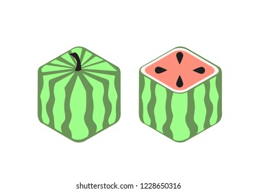 Icons in the form of square watermelons in cartoon style