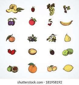 Icons of fruit in style hand graphics. Vector illustration.