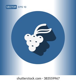 icons grapes for Web and Mobile