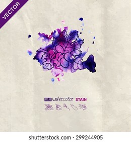 Icons healthy diet (fruits and vegetables). The texture of paper. Texture watercolor. Spot watercolors. Purple color. Grapes. The image can be used as a background, menus, postcards, template
