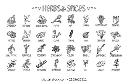 Icons of herbs and spices, drawn element in the style of a doodle. Template package design on a white background. Logo or emblem - herbs and spices - poppy, cashew, etc. Logo in a fashion line