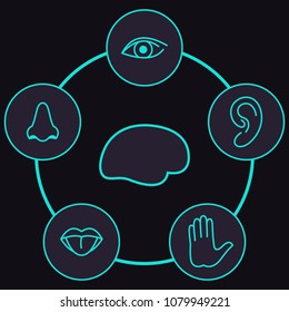 Icons human brain and senses. Sight (eyes), smell (nose), taste (mouth and tongue), hearing (ear), tactile sensations - touch (palm). Isolated on dark background. Simple infographics, set pictograms.