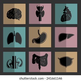 icons of human organs Flat design