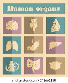icons of human organs Flat design