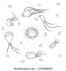 Icons of infectious bacteria and biological viruses. Flat cartoon illustration of microbes and bacteria. A microorganism and allergen pictured on a white background.