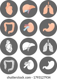 Icons with internal organs in rounds. Isolated on white background. Vector illustration. Lungs, heart, liver, stomach, guts, kidney. Colorful and black and white. Web, social media, messenger icons. 