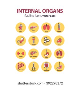 Icons of internal organs. Vector Illustration.