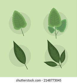 icons leaves nature and foliage