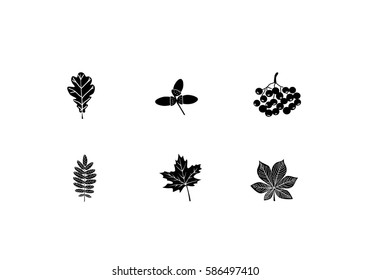 Icons of leaves, rowan berries  and acorns