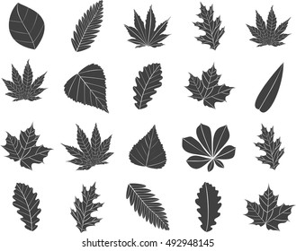 Icons of leaves.Vector illustration