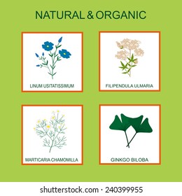 Icons with linum usitatissimum, filipendula ulmaria, marticaria chamomilla and ginkgo biloba.