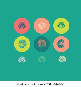 icons made of prints of different leaves on a green background, autumn concept of round icons in pop art style, image for highlighter icons for publications and stories