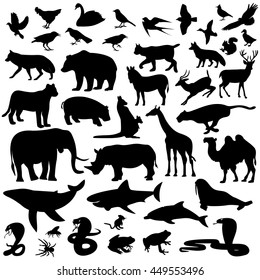 iconos mamíferos,ilustración vectorial