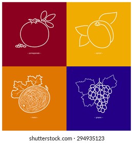 Icons of Melon, Grapes, Pomegranate, Apricot on Colored Backgrounds, Line Style