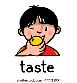 Icons of one of five senses - taste. Children vector illustration of boy in red t-shirt who eating an apple