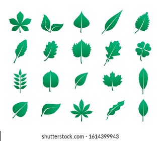 icons pack of different leafs logos set