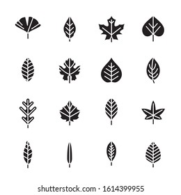 icons pack of different leafs logos set