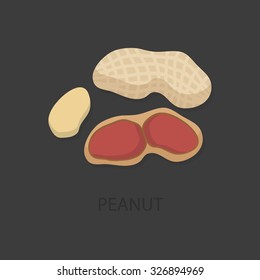 Icons peanut with shadow  on a gray background