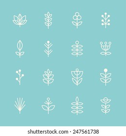 Icons plant