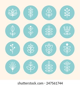 Icons plant