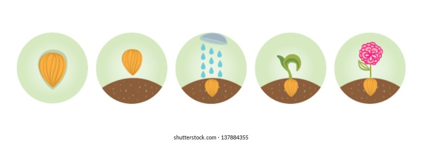 Icons for planting