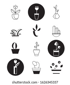 Icons of plants. Vector icons in black and white for decoration