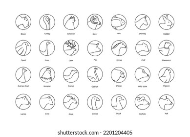 Icons of poultry head meat and farm animals, vector illustration of the line rooster, chicken, cow and common ostrich and emu. Types of meat.