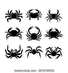 Icons of sea crabs of different species of the crustacean family on a white background. Vector image.