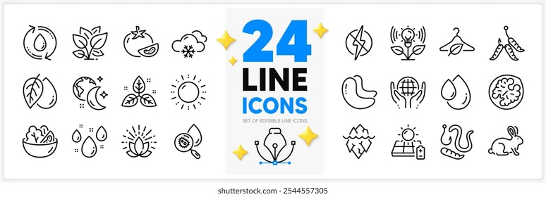 Icons set of Animal tested, Salad and Cashew nut line icons pack for app with Maggots, Water analysis, Organic tested thin outline icon. Refill water, Worms, Fair trade pictogram. Vector