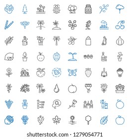 icons set. Collection of leaf with apple, oak leaf, tree, flower, maple leaf, wine, bouquet, acorn, tangerine, mongolian, pierrade, rose. Editable and scalable leaf icons.