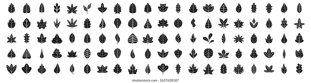  icons set. Different leaf icons representing various tree species, perfect for nature and botany projects
