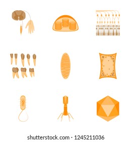 icons set in flat style cells viruses teeth