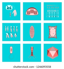 icons set in flat style cells viruses teeth