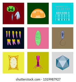 icons set in flat style cells viruses teeth