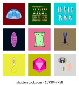 icons set in flat style cells viruses teeth
