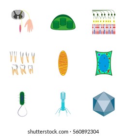 icons set in flat style cells viruses teeth