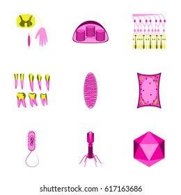 icons set in flat style cells viruses teeth